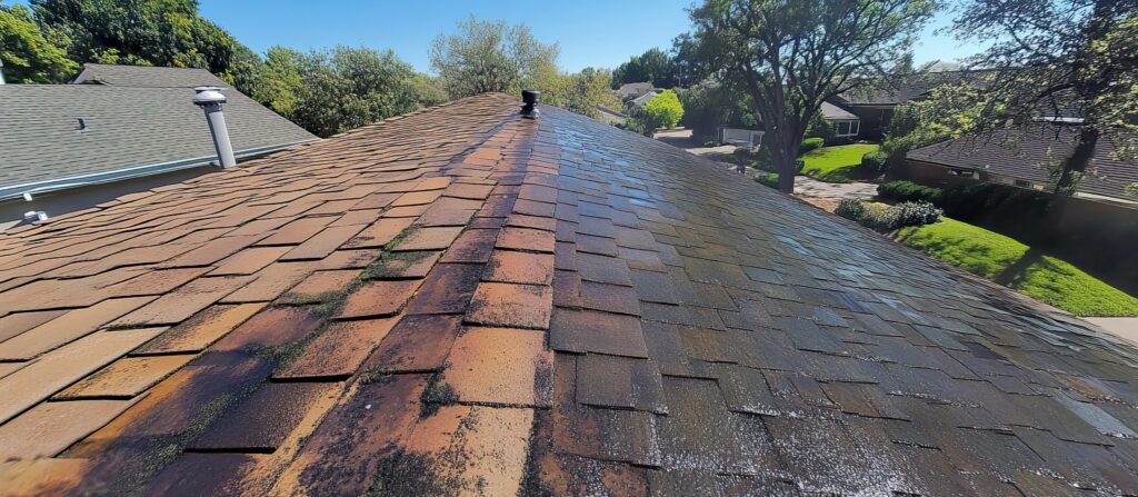 Charlotte black streak roof
